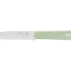 Opinel Cranté N°113 Sauge